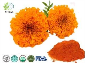 Marigold ekstrakt